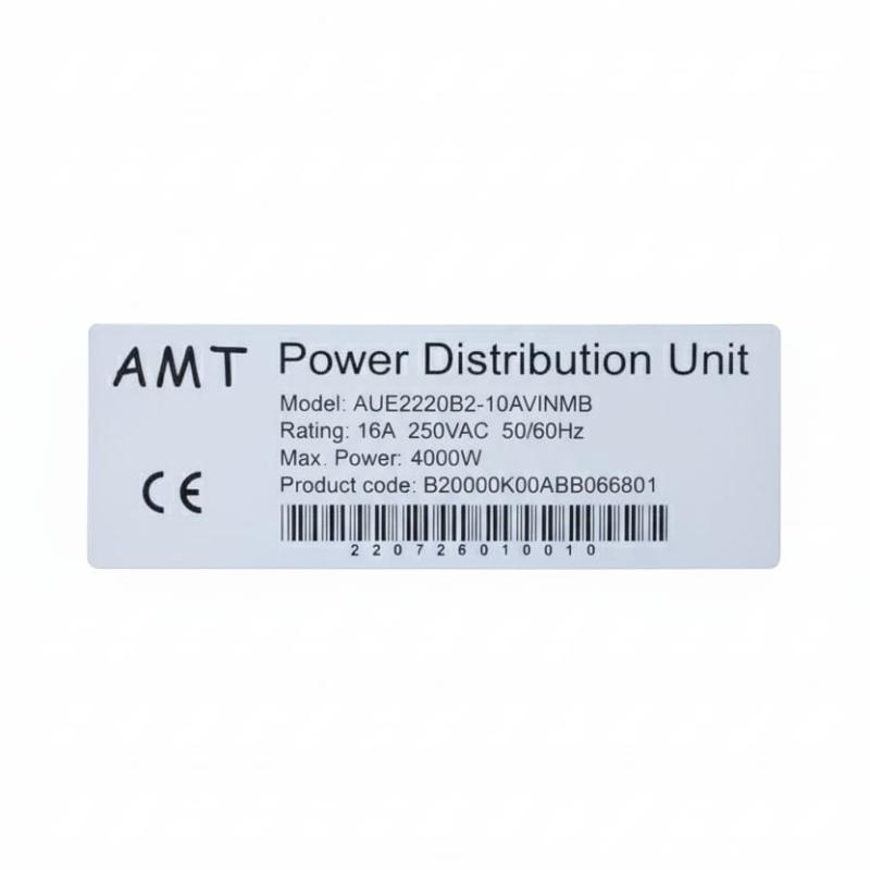 AMT 10-WAY UK PDU WITH C20 PLUG